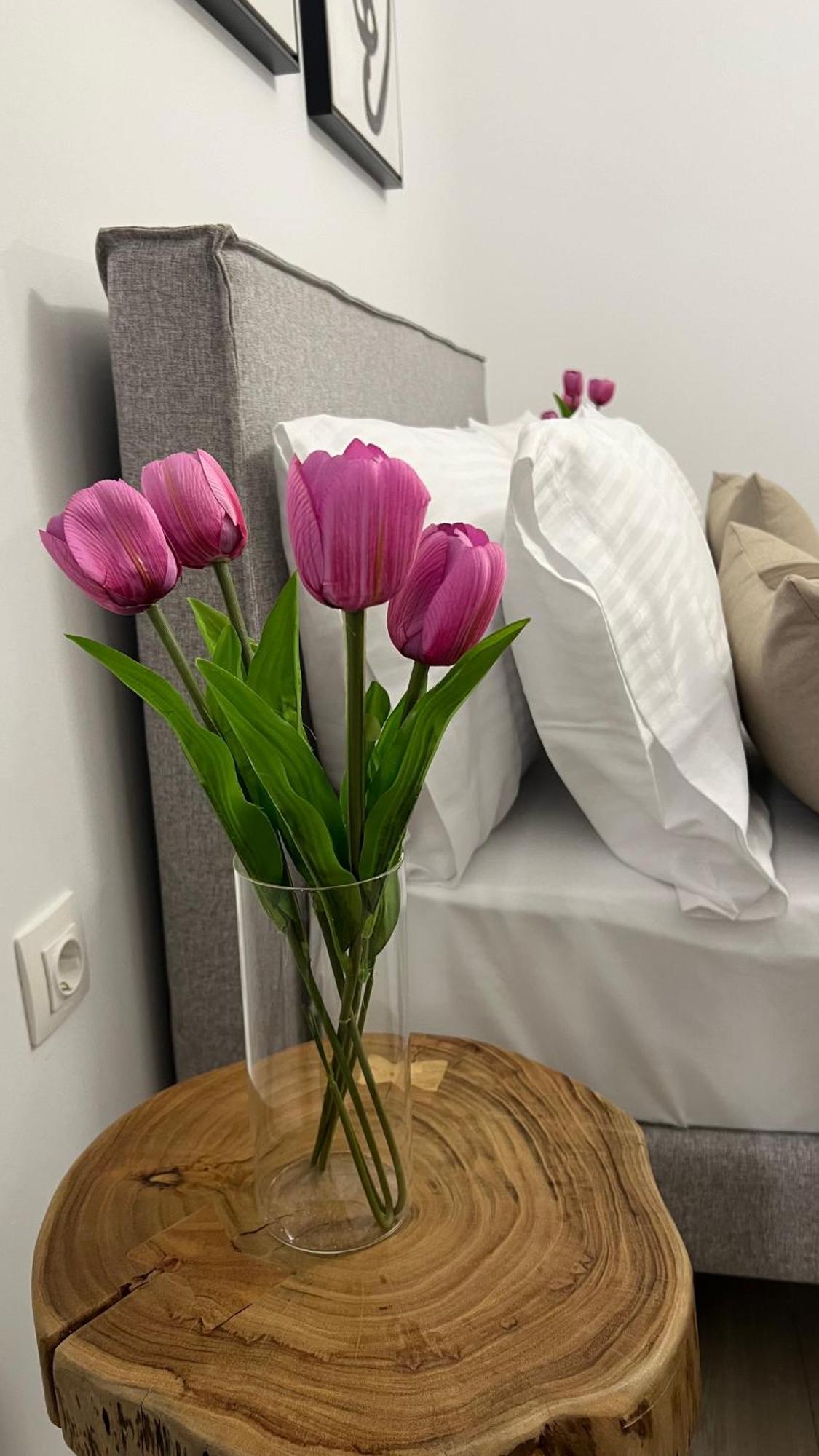 Sias Apartment Aleksandropolis Zewnętrze zdjęcie